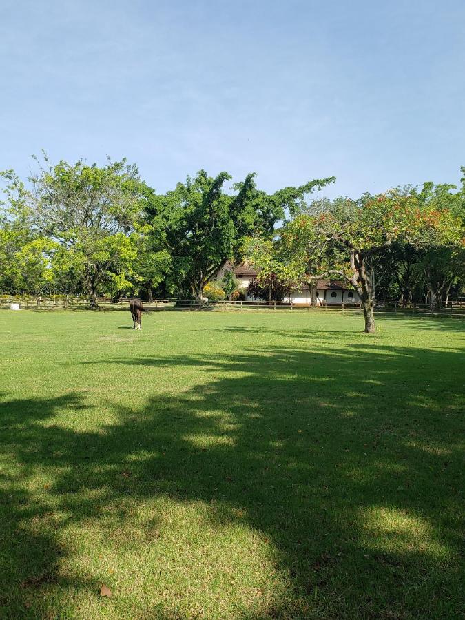 Apartamento Vargem Grande 1 - Prox E Cachoeira